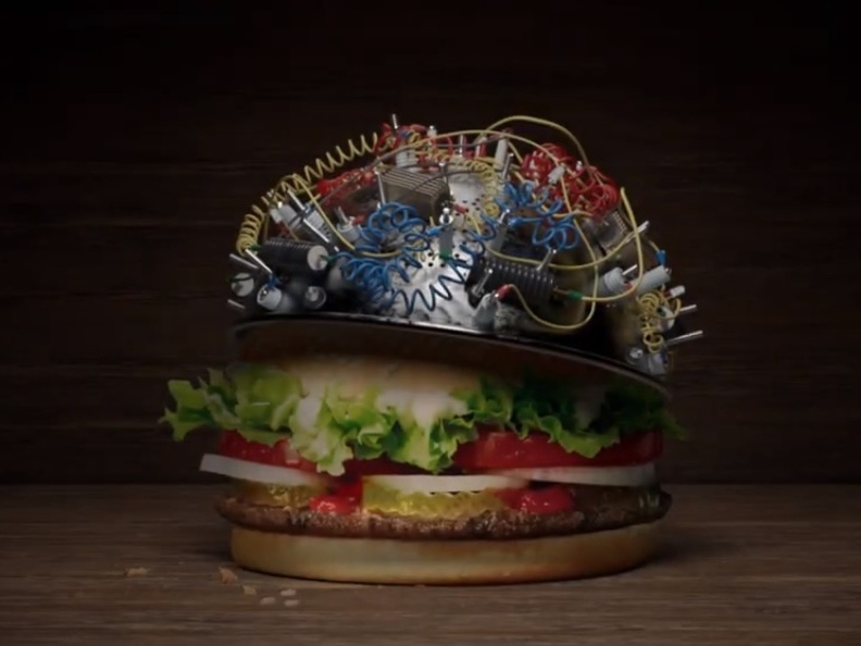 Hambúrguer de Minhoca?