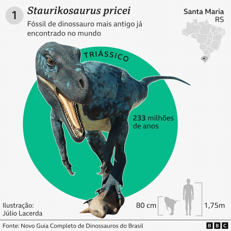 Mais antigo dinossauro pescoçudo é brasileiro, dizem pesquisadores