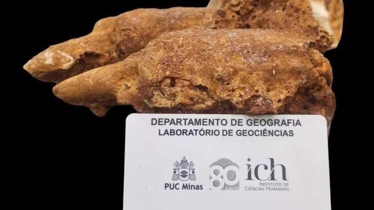 Detalhe das garras da preguiça-gigante cujo fóssil foi encontrado em MG