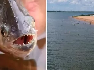 Mais de 10 banhistas são atacados por piranhas em prainha do interior de SP