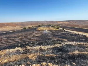 Incêndio florestal deixa 11 mortos e dezenas de feridos na Turquia