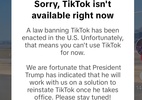 TikTok sai do ar nos Estados Unidos após decisão da Justiça - Reprodução/TikTok