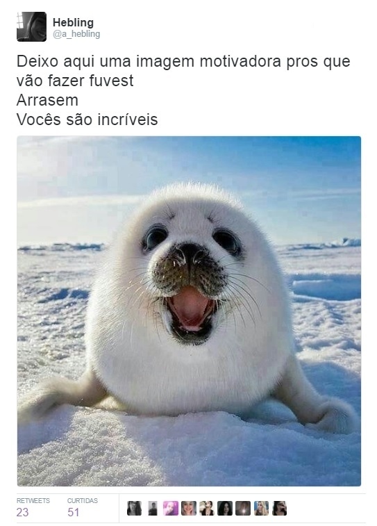 27.nov.2016 - Prova da Fuvest 2017 vira piada nas redes sociais - Reprodução/Twitter