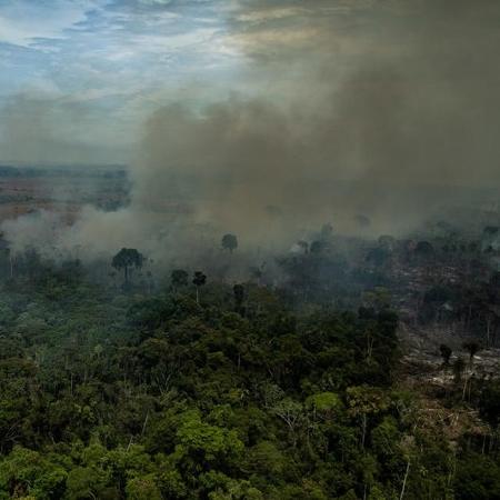 23.ago.2019 - Queimadas na Área de Proteção Ambiental Jamanxim, em Novo Progresso (PA) - Victor Moriyama / Greenpeace