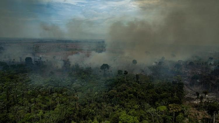 23.ago.2019 - Queimadas na Área de Proteção Ambiental Jamanxim, em Novo Progresso (PA) - Victor Moriyama / Greenpeace - Victor Moriyama / Greenpeace
