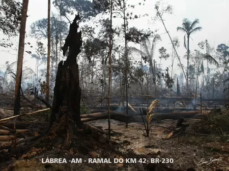 Foto feita por Edmar Barros em Lábrea (AM), após queimadas na região - Edmar Barros