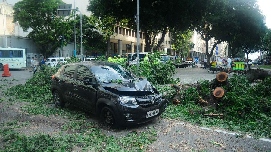 13.ago.2019 - Ventos fortes derrubam uma árvore danificando um veículo na Candelária, centro do Rio de Janeiro - Allan Carvalho/AM Press & Images/Estadão Conteúdo