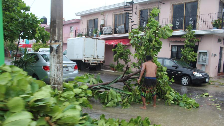 Árvore caída em uma rua enquanto o furacão Nora atinge a costa sudoeste do México, em Manzanillo, no estado de Colima - REUTERS/Jesus Lozoya
