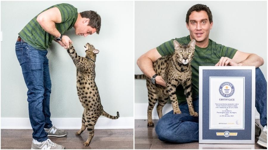 Fenrir se tornou o gato doméstico mais alto do mundo - Divulgação