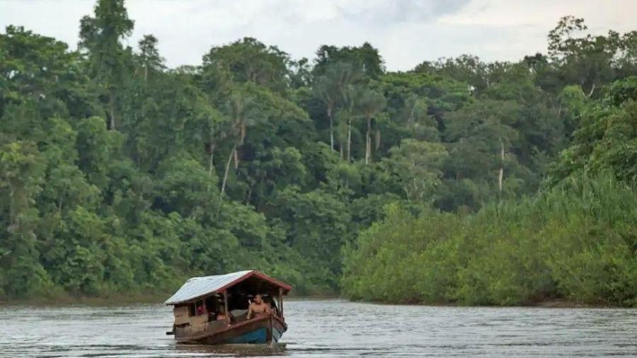 Indígenas da Amazônia processam o New York Times por insinuar vício da aldeia em pornografia Indígenas da Amazônia processam o New York Times por insinuar vício da aldeia em pornografia