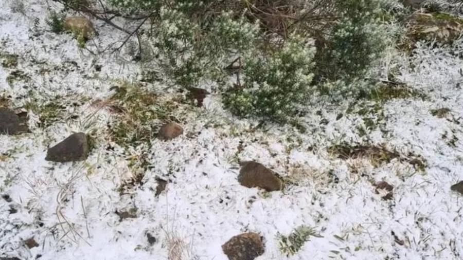 Urubici (SC) registrou neve na manhã de hoje - Reprodução/Twitter