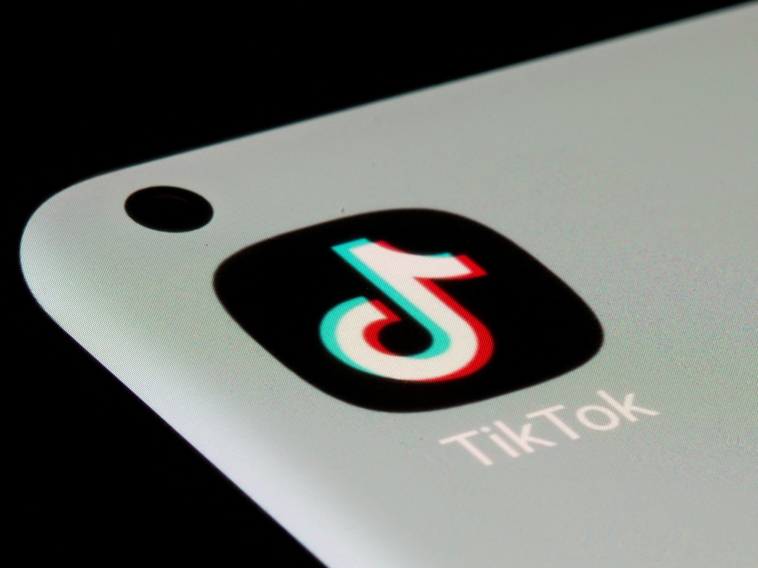 como ponerte el verificado ff｜Pesquisa do TikTok