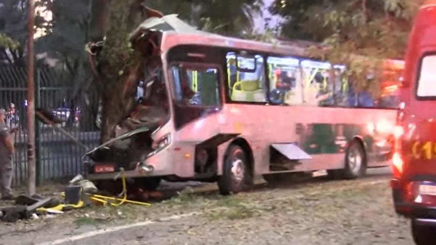 ônibus bate em árvore
