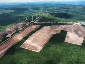 Obra para colocar 282 mil painéis solares desmata Caatinga e é alvo do MP