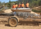 Crocodilo de 5 metros e 600 quilos é capturado perto de área povoada da Austrália - Northern Territory Parks and Wildlife