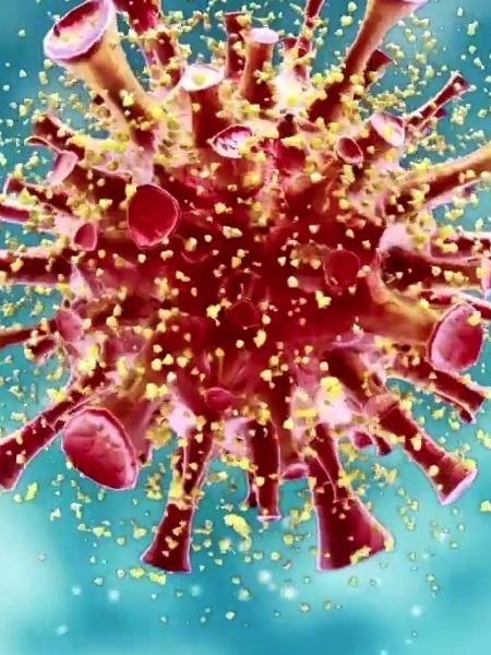Até 20 de março, a China aplicou quase 75 milhões de doses de vacinas contra o coronavírus - Reprodução