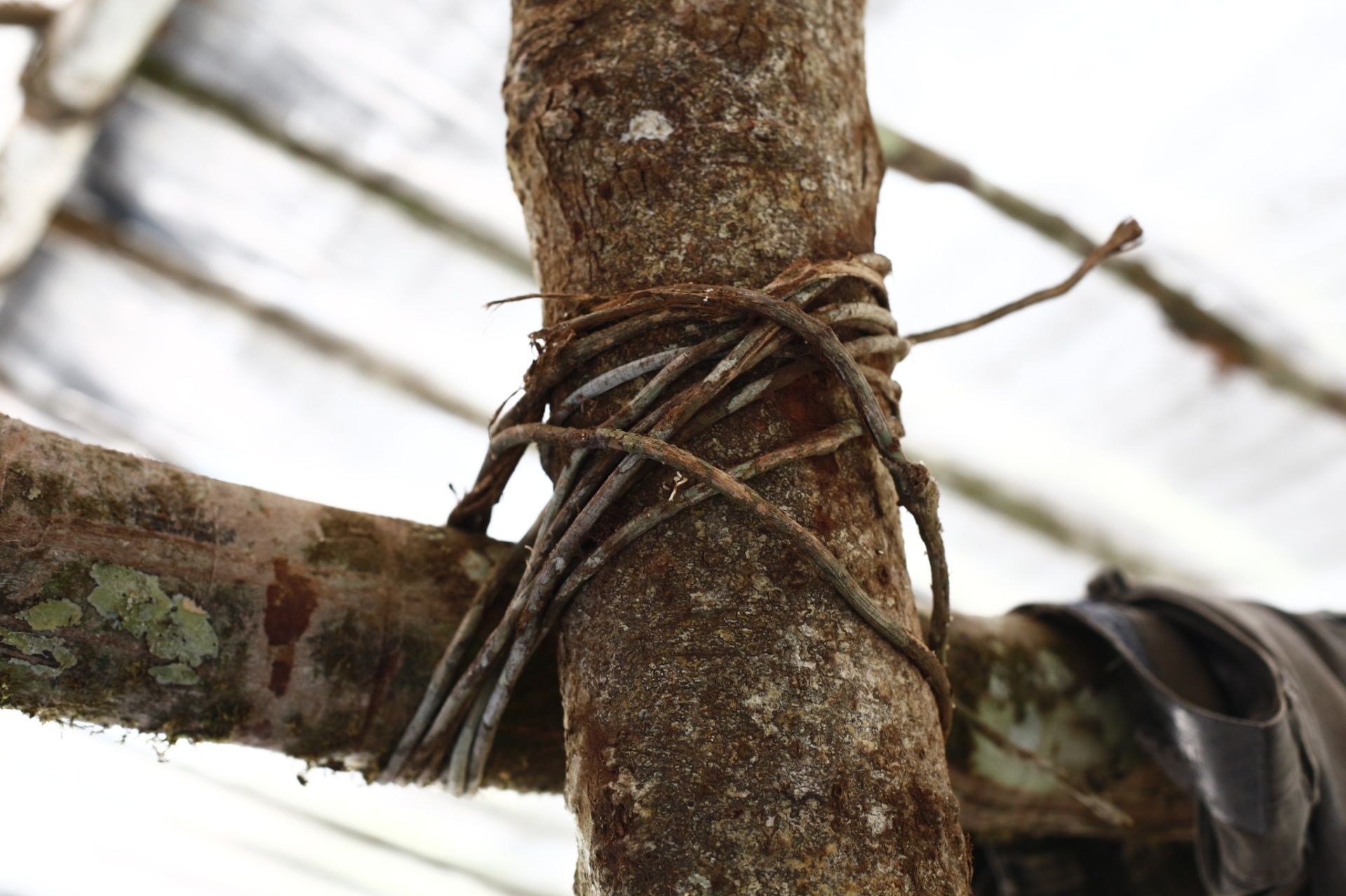 Lunaé Parracho/Repórter Brasil