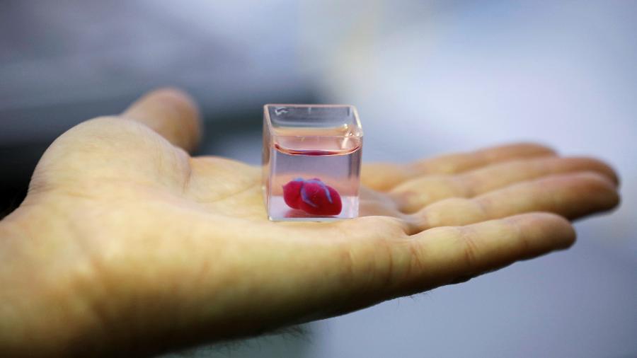 Cientistas israelenses da Universidade de Tel Aviv mostram o que dizem ser o primeiro coração vascularizado impresso em 3D do mundo - Amir Cohen/Reuters