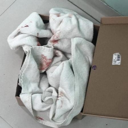 Caixa de sapato em que uma bebê prematura de cerca de 7 meses foi encontrada com vida em uma lixeira - Divulgação / Samu
