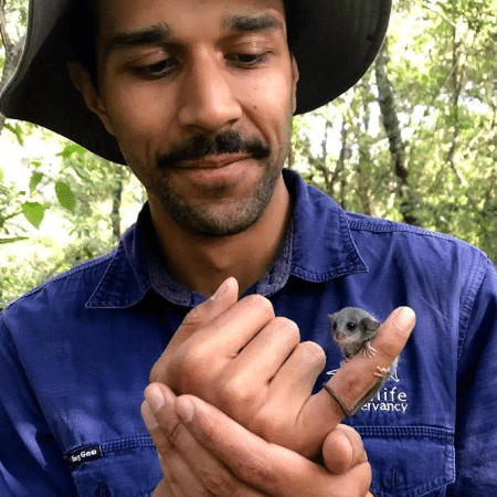 Researcher holding baby rat - E. Fitzsimmons/Australian Wildlife Conservancy - E. Fitzsimmons/Australian Wildlife Conservancy