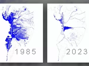 Pantanal 'seca' e perde 80% de superfície de água desde 1985, aponta estudo