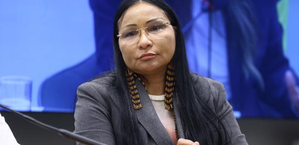 Sílvia Waiãpi : l'analyse économique — image 2