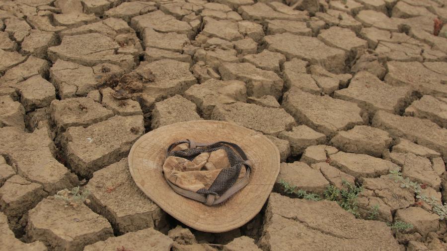 Monte Darwin, no Zimbábue, enfrenta forte seca este ano  - Shaun Jusa