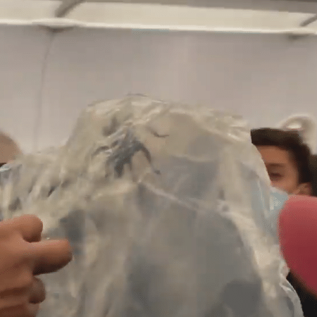 Tarântula foi capturada e colocada em um saco plástico para segurança dos passageiros - Reprodução/Instagram