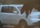Urso entra em carro e destrói para-brisa na saída nos EUA; veja o vídeo - Reprodução