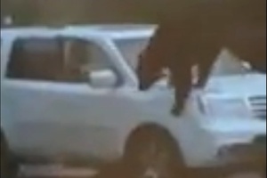 Urso entra em carro e destrói para-brisa na saída nos EUA; veja o vídeo (Foto: Reprodução)