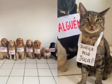 'Não somos bagagem': morte de cão em voo da Gol motiva protesto com pets