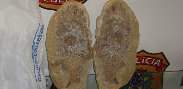 O estrangeiro afirmou aos policiais federais que recebeu as rochas fossilizadas de um amigo e que as daria de presente para seu filho - Divulgação/Polícia Federal