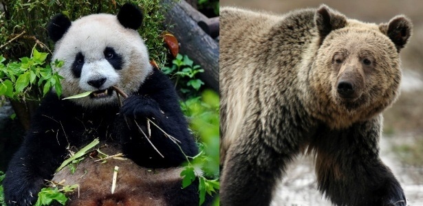 Jim Urquhart/ Reuters/ Zhang Guojun/Xinhua Jim Urquhart/ Reuters/ Zhang Guojun/Xinhua