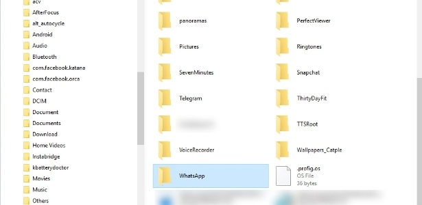 Salvar fotos do WhastApp no PC - parte 3 - Reprodução - Reprodução