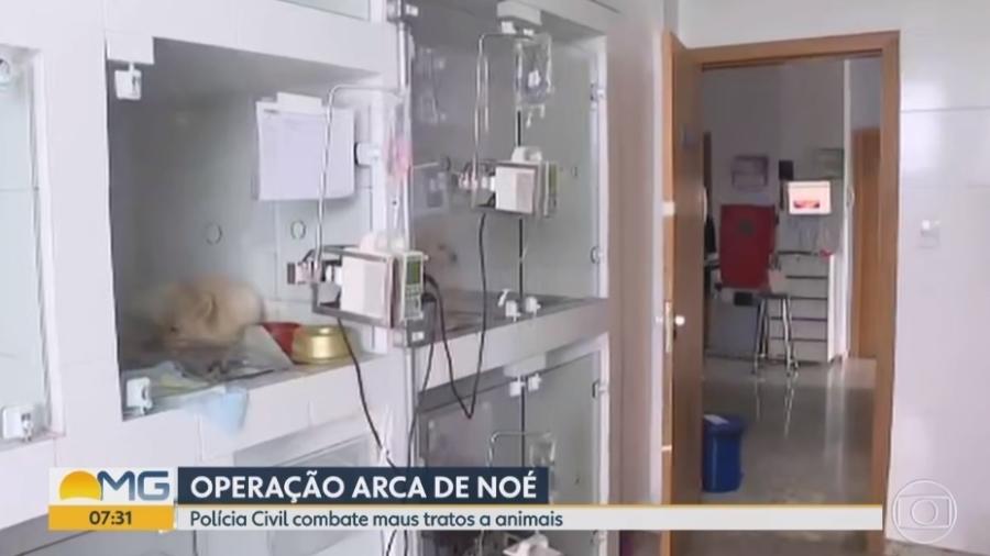 Clínica veterinária alvo de operação em Minas Gerais  - Reprodução/TV Globo