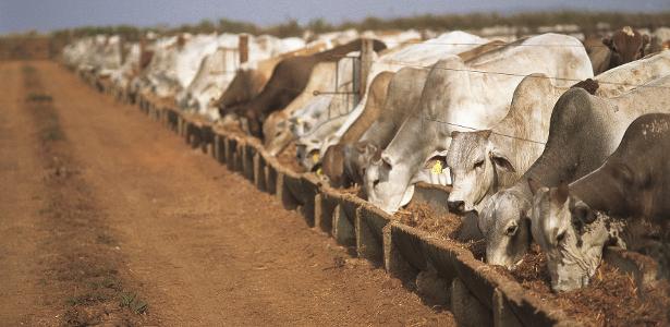 Os impactos da decisão da UE de barrar a carne brasileira