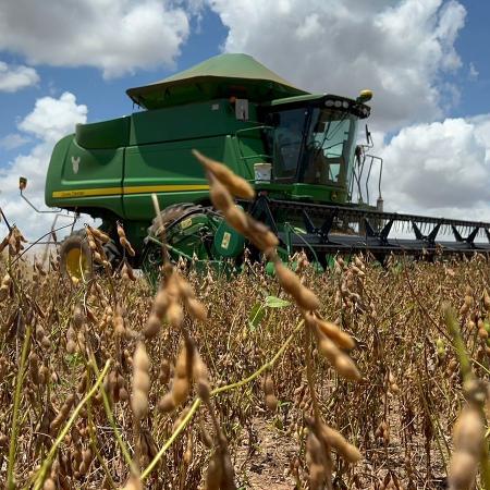 Colheita da soja no Mato Grosso