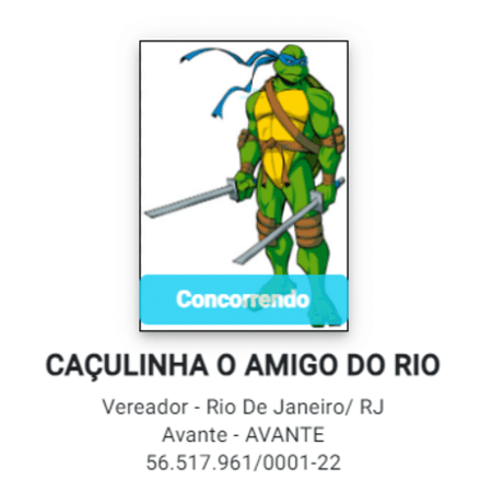 Candidato usa pergonagem das Tartarugas Ninja em candidatura