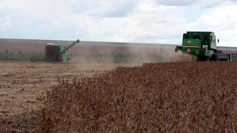 trabalhadores colhem soja em uma fazenda na cidade de primavera do leste no estado do mato grosso na regiao central do brasil 1783019631993 v2 900x506