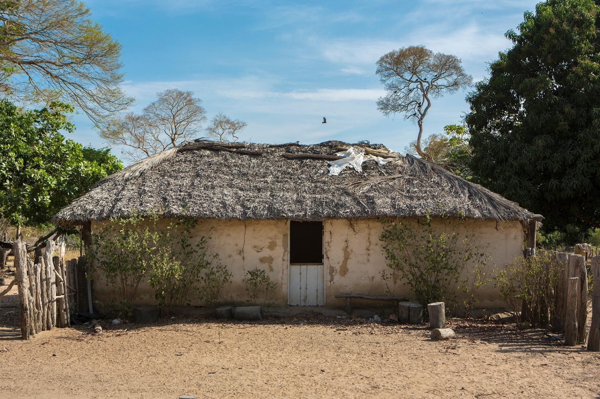 Fernando Martinho/Repórter Brasil