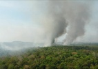 Quem são os voluntários que combatem incêndios na Amazônia