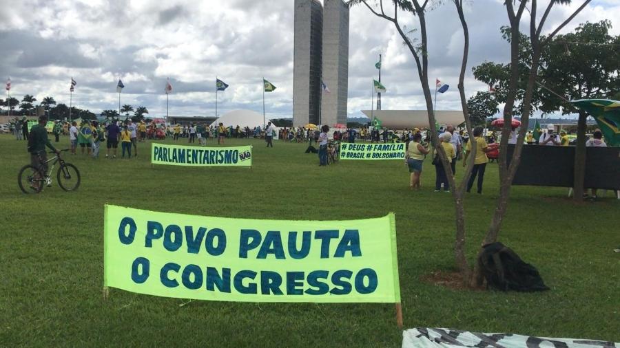 Manifestações pró-Bolsonaro em Brasília - Felipe Pereira/Divulgação