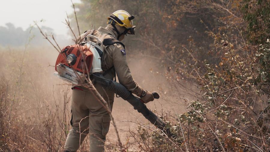 Novos incêndios foram registrados em alguns pontos do Pantanal nos últimos dias, após fogo diminuir no bioma - Marina Garcia/UOL