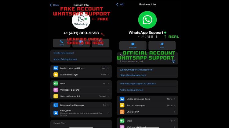 Scammers pretend to be WhatsApp support to make victims;  - Playback/WabetaInfo - Playback/WabetaInfo