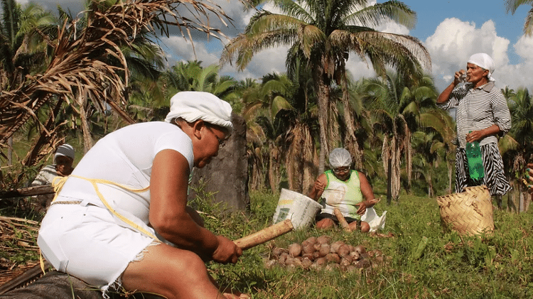 Entidade que apoia quebradeiras de coco afirma que repasses foram suspensos em 2019