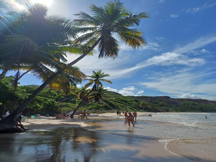 A charmosa Coqueirinho, emoldurada pelas árvores, é uma das preferidas da região A charmosa Coqueirinho, emoldurada pelas árvores, é uma das preferidas da região