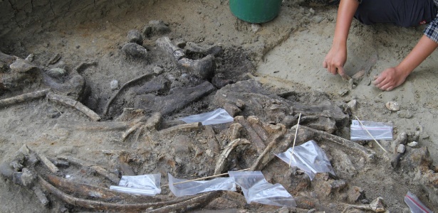Esqueleto de rinoceronte esquartejado ajudou os cientistas a calcular estimativa -  Thomas Ingicco/MNHN/AFP