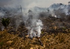 Desmatamento da Amazônia cai em julho, mas sobe em 12 meses - Gustavo Basso/NurPhoto via Getty Images