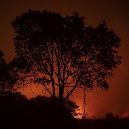 Fogo atinge vegetação próxima à Rodovia Transpantaneira, no Pantanal de Mato Grosso - Mauro Pimentel/AFP