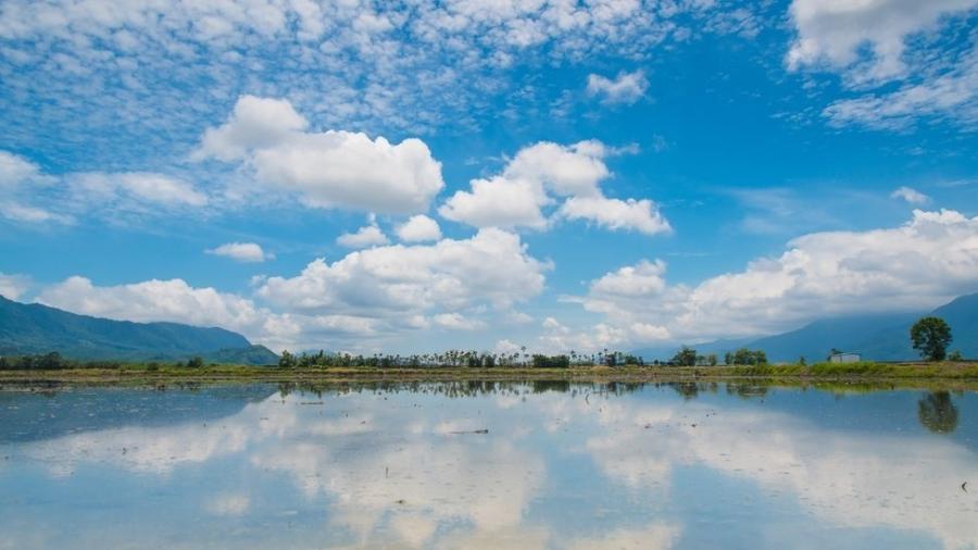 Campo de arroz em Taiwan: sob um céu azul com nuvens, um campo alagado refletindo a paisagem - Getty Images